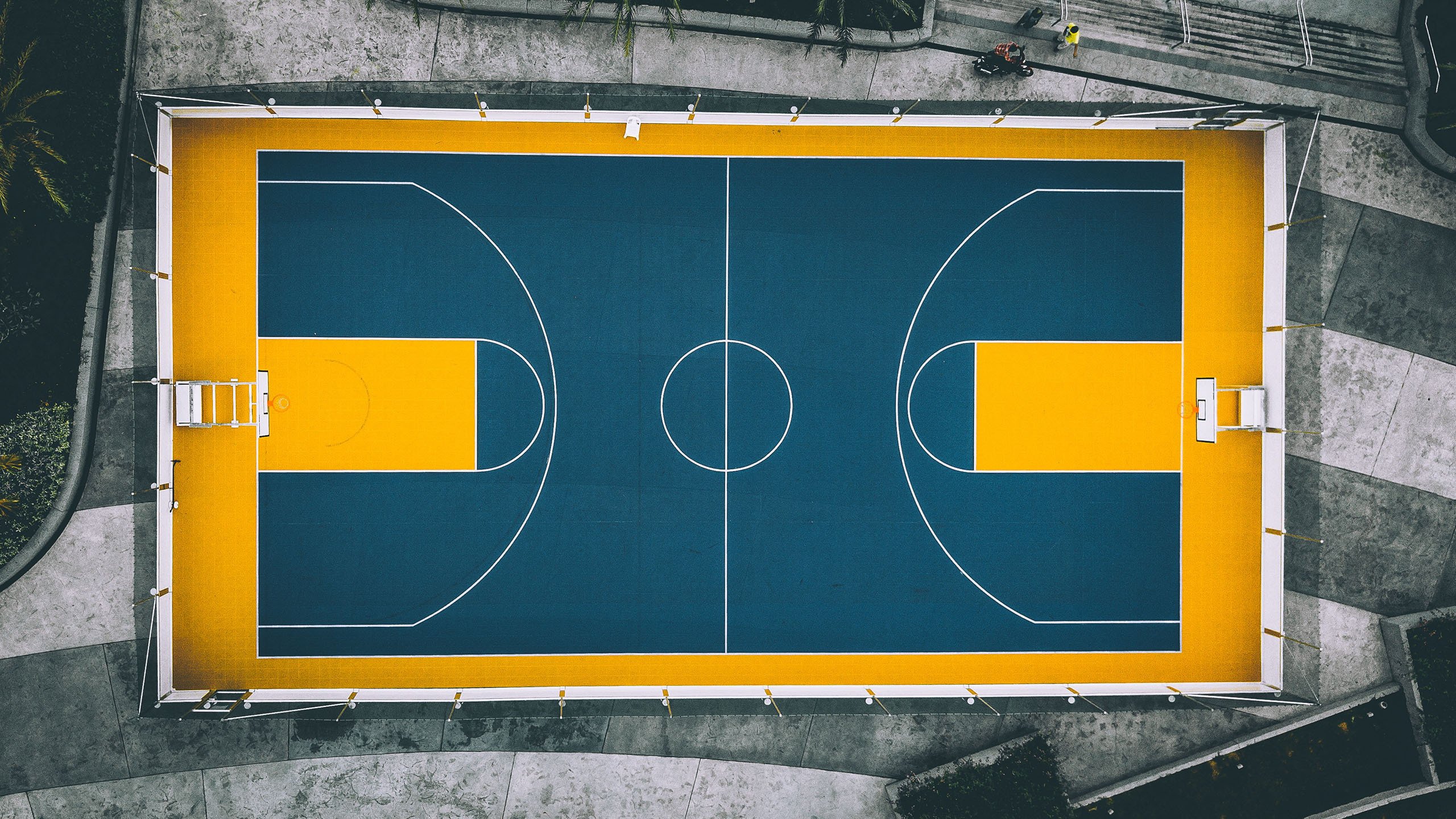 世界举重线上评估系统:远程监测助力训练负荷管理,世界举重排行榜